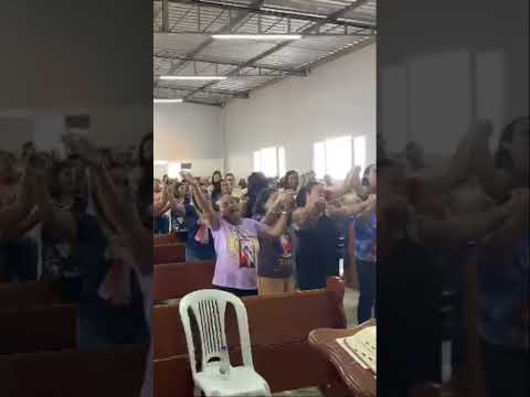Rebanhão da misericórdia- São João da ponte #viralvideo #viral #viralshorts