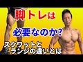 脚の筋トレ必要なのか?スクワットとウォーキングランジの違いとは?プログラムの組み方。大腿四頭筋。大殿筋のトレーニング 引き締まった脚