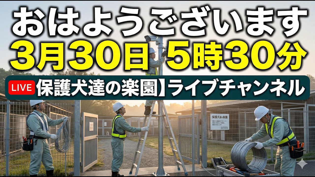 小型犬の飼い主さんと大型犬の飼い主さんの違い　3月30日5時30分