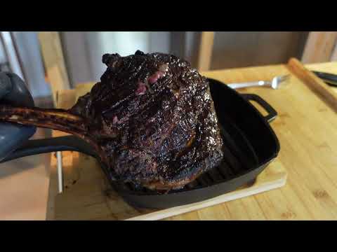 Complete meal at Glowen Raptor