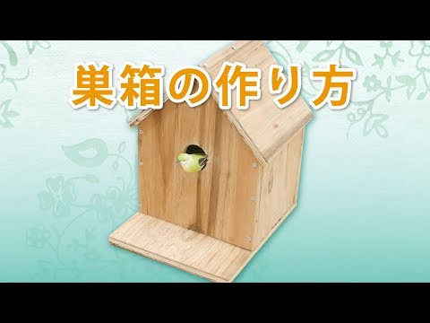 コマドリの巣箱を簡単に作る方法は？知っておくべきことはすべて！  庭園