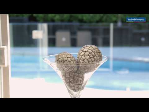 SOLD - 88A Kohimarama Road, Kohimarama - Mark Peterson and Louise Barnsley