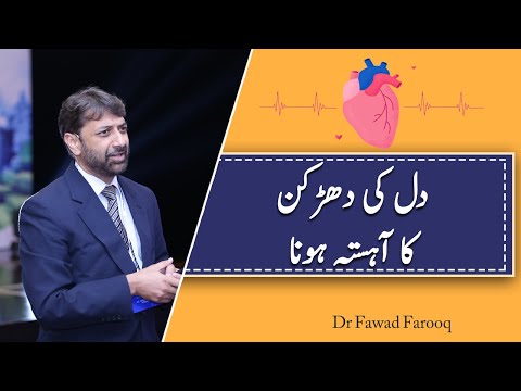 Heat beat slow ya dharkan kam hona. Urdu/Hindi Dr.Fawad Farooq