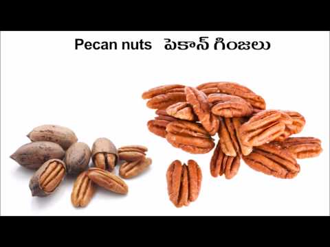 download lagu mp3 mp4 Dry Fruits Names In Telugu, download lagu Dry Fruits Names In Telugu gratis, unduh video klip Dry Fruits Names In Telugu