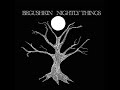 Begushkin | Nightly Things | Live 2002