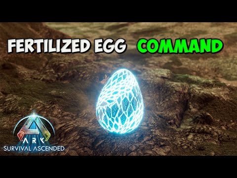 How To Summon ANY Fertilized Egg in ARK Survival Ascended | Spawn COMMAND