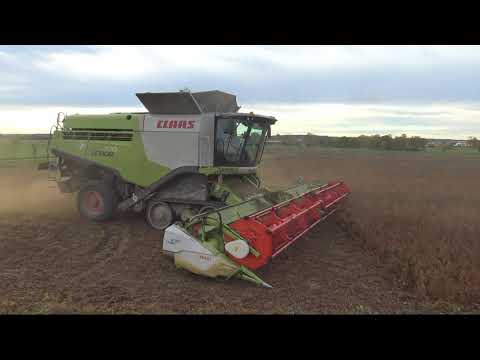 SKLIZEŇ SOJI  / HARVEST OF SOYA -  CLAAS LEXION 770 APS HYBRID