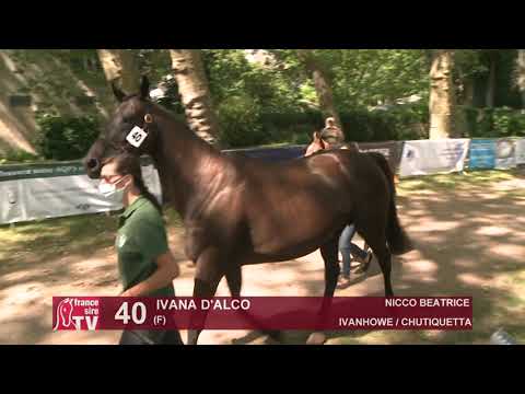 Sprinter Sacré Show 2021 : Lot 40 - Ivana D'Alco