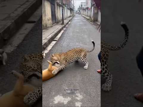 She didn’t think twice… she just saved her dog 💔🐕