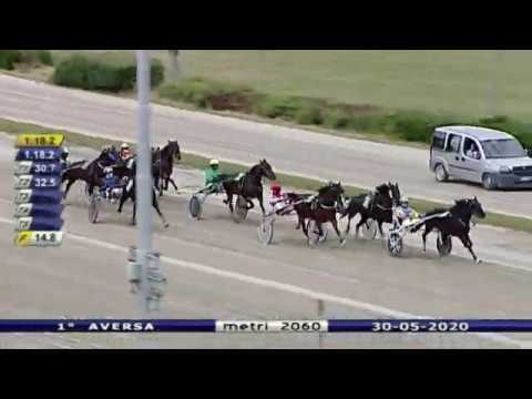 Aversa trotto 30 Maggio 2020 - 1° Corsa