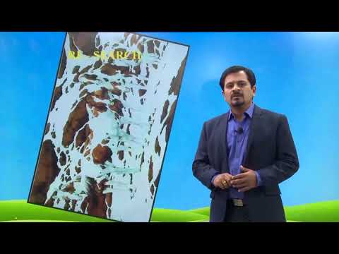 How to do a Quality Research