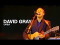 DAVID GRAY - Lately (Live)