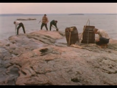 RISE AND FALL OF SILVER ISLET - A film by Peter G. Elliott