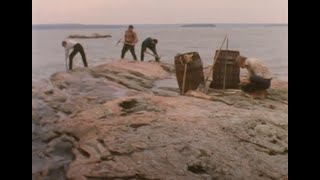 Rise and Fall of Silver Islet