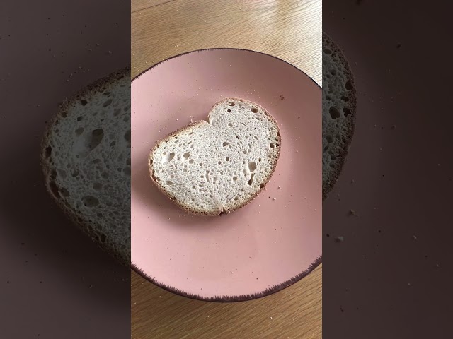 Video teaser per Trisa Toast IT Test | Michelle zeigt dir den Toaster mit Programmen und Reinigung
