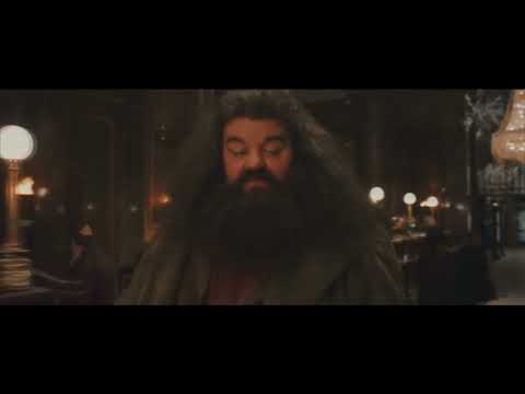 Gut kombiniert Doktor Watson