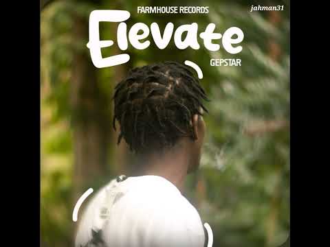 gepstar - Elevate【Apr 2025】