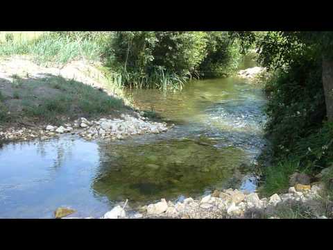 comment renforcer les berges d'un ruisseau