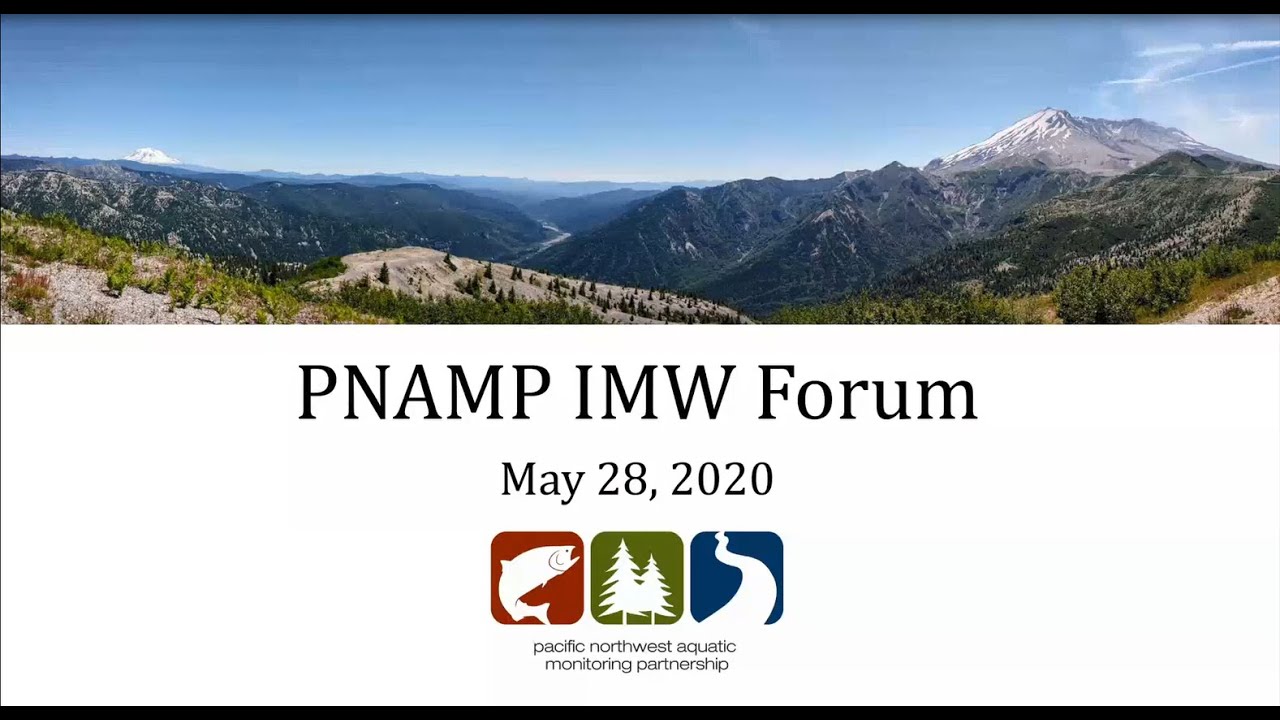 PNAMP IMW Forum