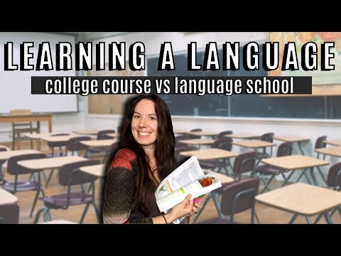 Should you study in a university or language school to learn a foreign language?
