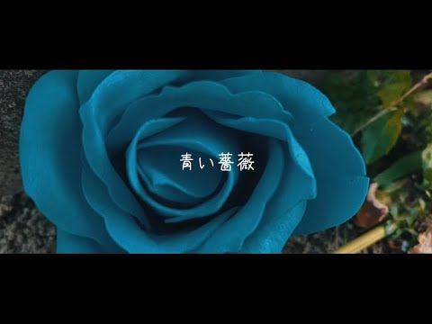 SOUTH BLUE  /  青い薔薇　(Official Music Video) (prod P.J INLAND)