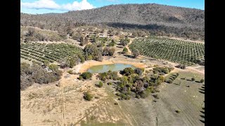 42 Wild Grape Road, Redbank | Alisa Johnson 0409 935 766 | Maryborough Ballarat Real Estate