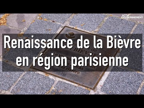 Biodiversité en ville : renaissance et renaturation de la Bièvre en région parisienne