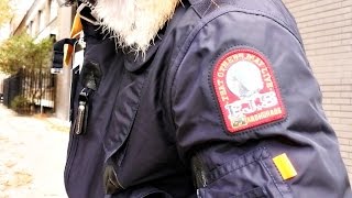 mariobrands canada goose mariobrands canada goose