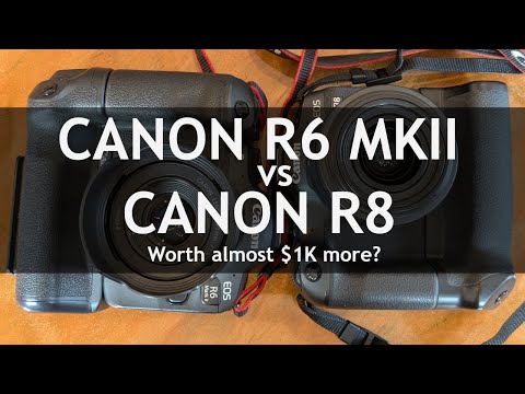 Canon R6 MKII vs R8.  Is it work $1K more?  Lets test them while photographing dollhouses!