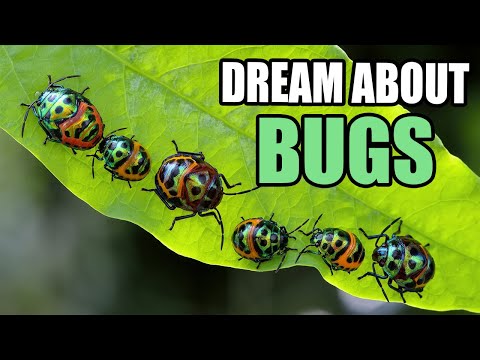 YouTube video about: What does it mean when you dream of bed bugs?