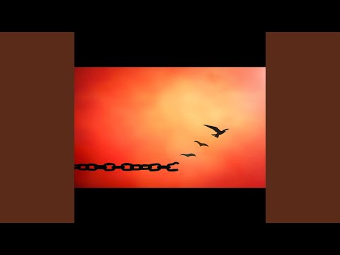 Forgiveness Guided Meditation