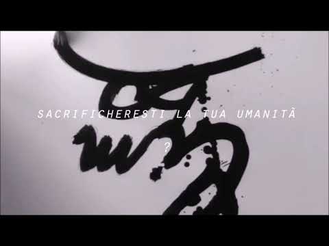 Progetto Sigma @  I M A G I N A R I U M  - Limbo Cognitivo - Una Tomba per Estetica