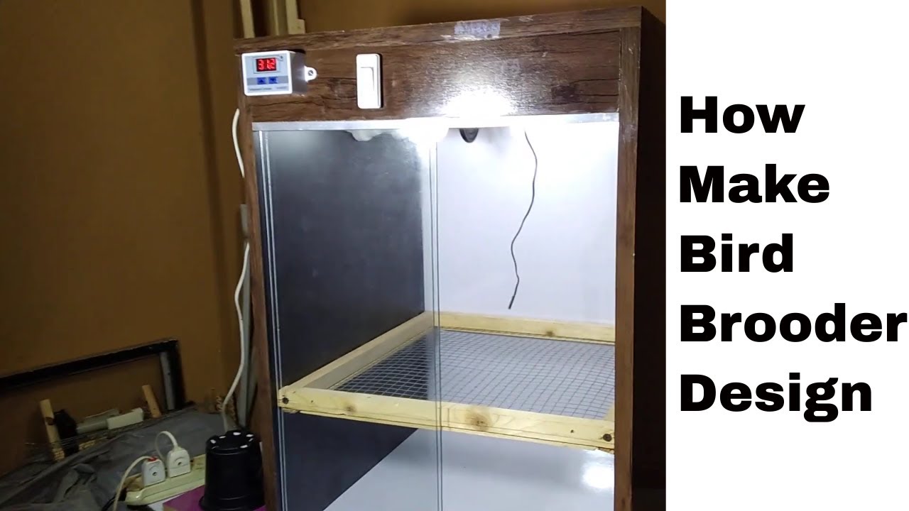 How to design bird brooder information - English