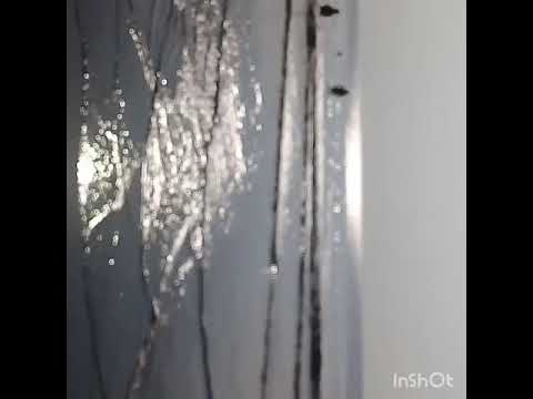 D.b dandi😎beach the m.s.v