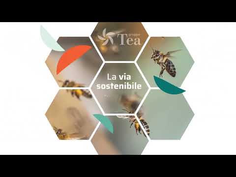 La via sostenibile - Relazione annuale integrata 2024