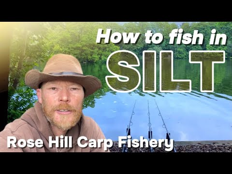 Summer Carp Fishing in Silt 2024