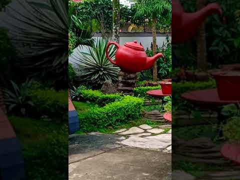Thể hiện bởi Hoài Mỹ
