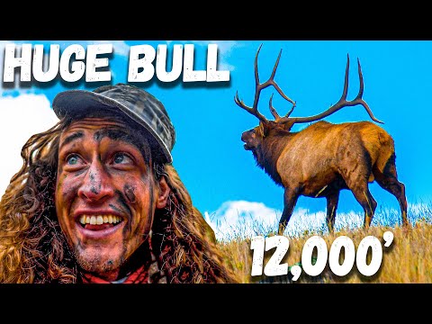 STALKING the BIGGEST BULL We've EVER SEEN in Colorado - Hunting Above Timberline!