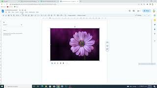 How To Insert Images With Borders and Drop Shadows in Google Docs