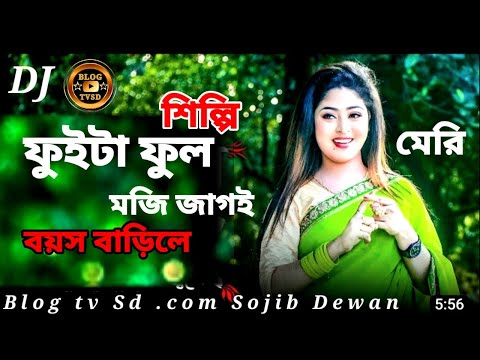 ফুইটা ফুল মজি জাগই বয়স fuita ful moji jay boyos barile song । 2023 মেরী