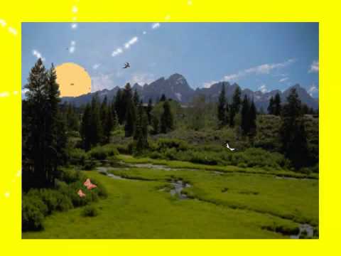 Die Fischerin vom Bodensee   GABY BERGER   Dance Version