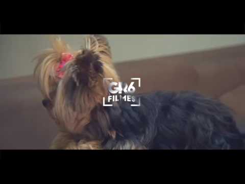 MC chapo e mc menor da VG viro alvo(oficial)