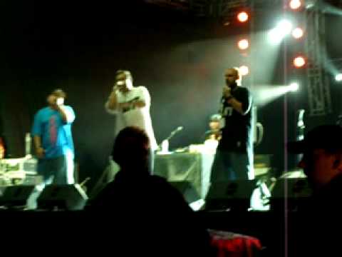 tede igry 2009 gliwice