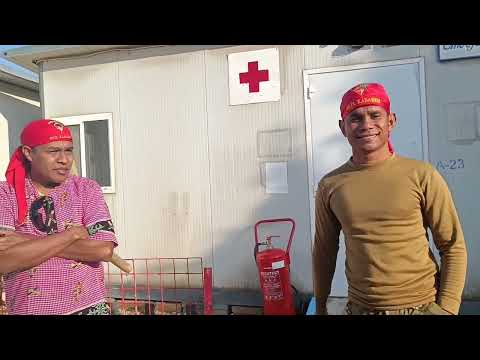 Beta maluku,Beta kabaresi