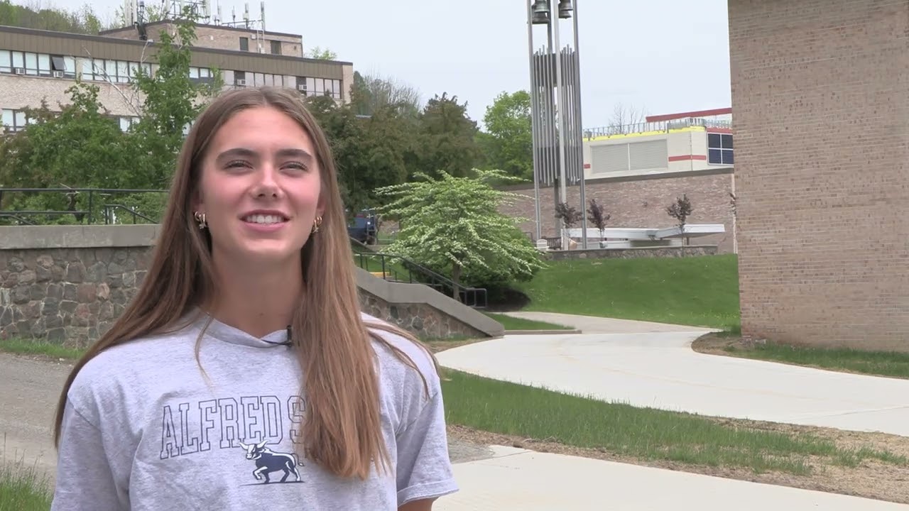 Video preview thumbnail