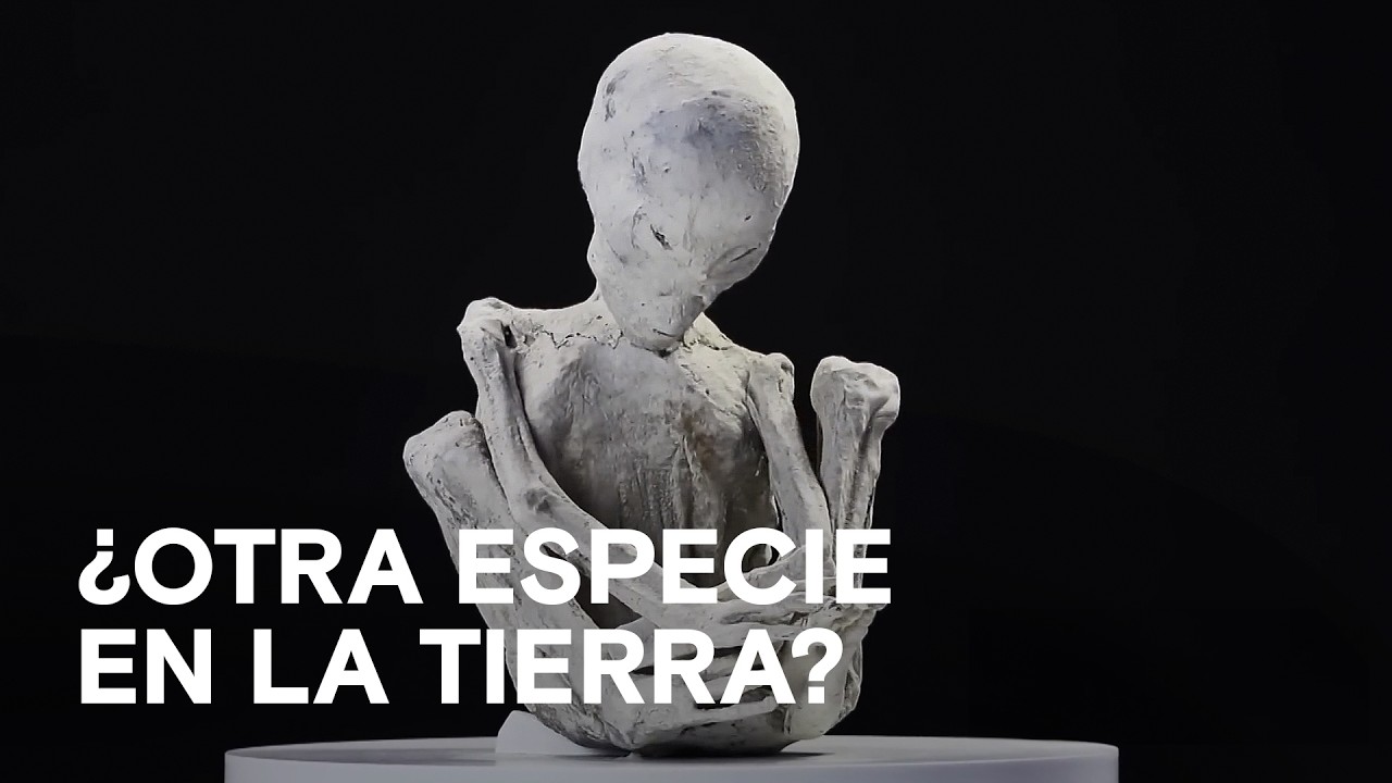¡NO SON HUMANOS! Pruebas científicas y ADN de las Momias de Nazca 😱 Lo mejor de INTERESTELAR
