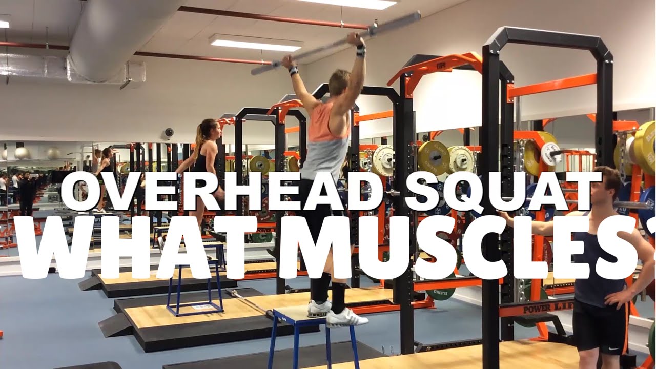 Overhead Squat Muscles: What Muscles Do The Overhead Squats Work? Overhead Squat Muscles Worked