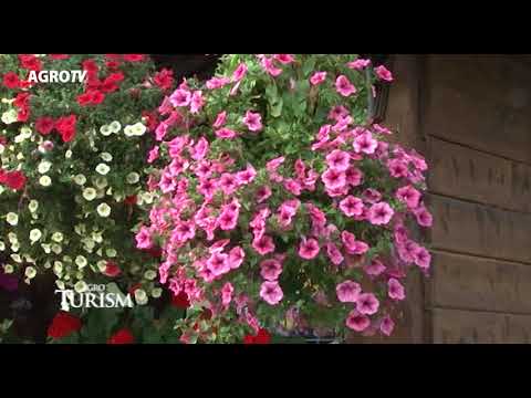 Agroturism Bucovina tara fagilor