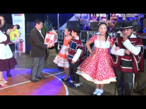 INVITACION A PARTICIPAR COMUNAL DE CUECA SAAVEDRA 2017 - NOTA CANAL 8