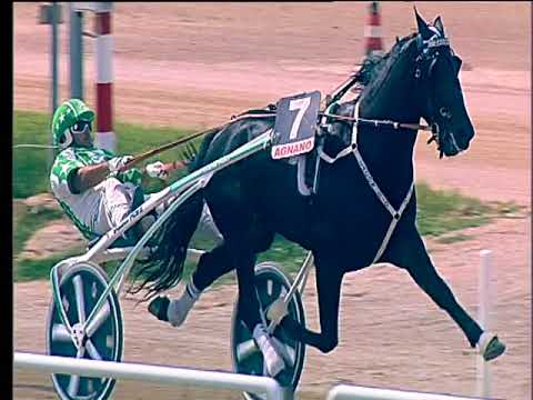 Trotto 16/06/2018 - 2ª corsa